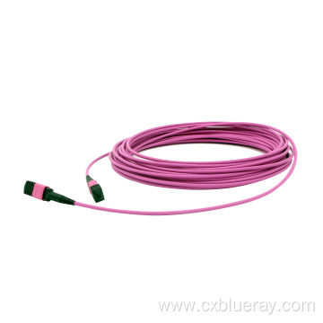 Female to female MPO/MTP trunk Cable Patch Cord